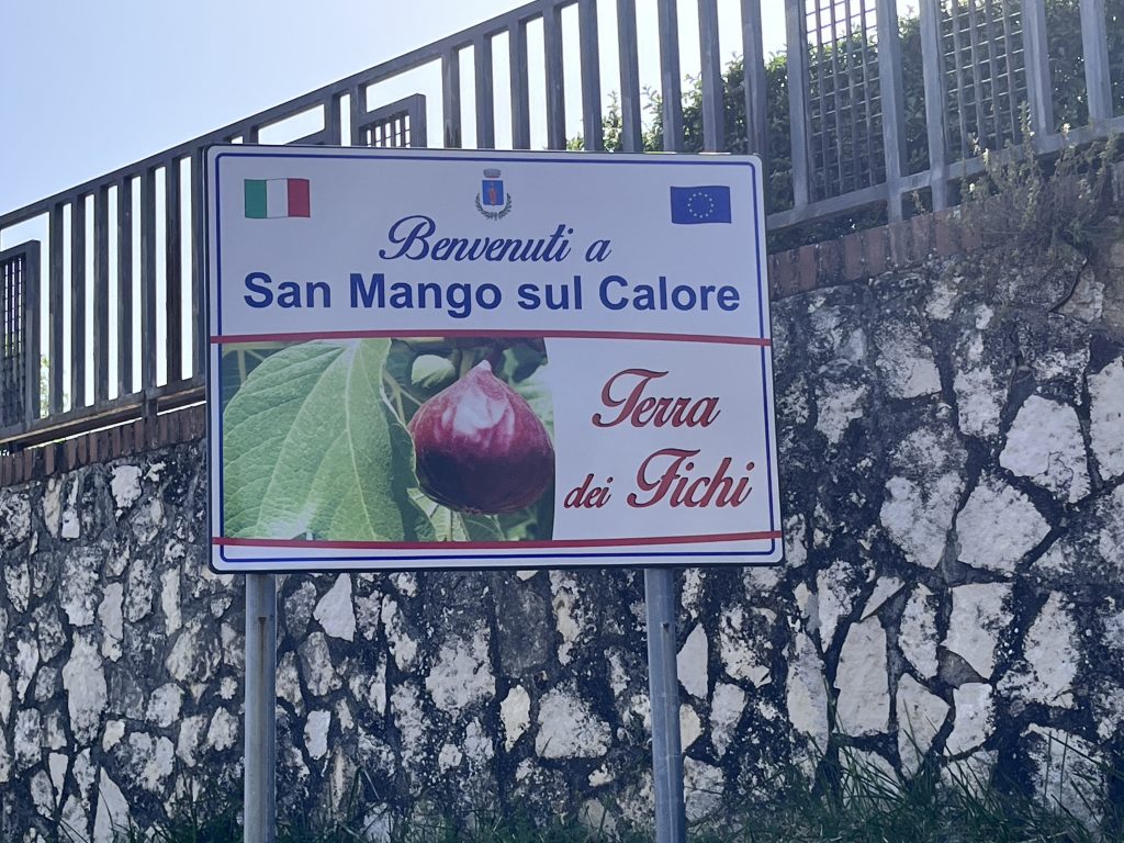Cartellone San Mango sul Calore - Terra dei Fichi