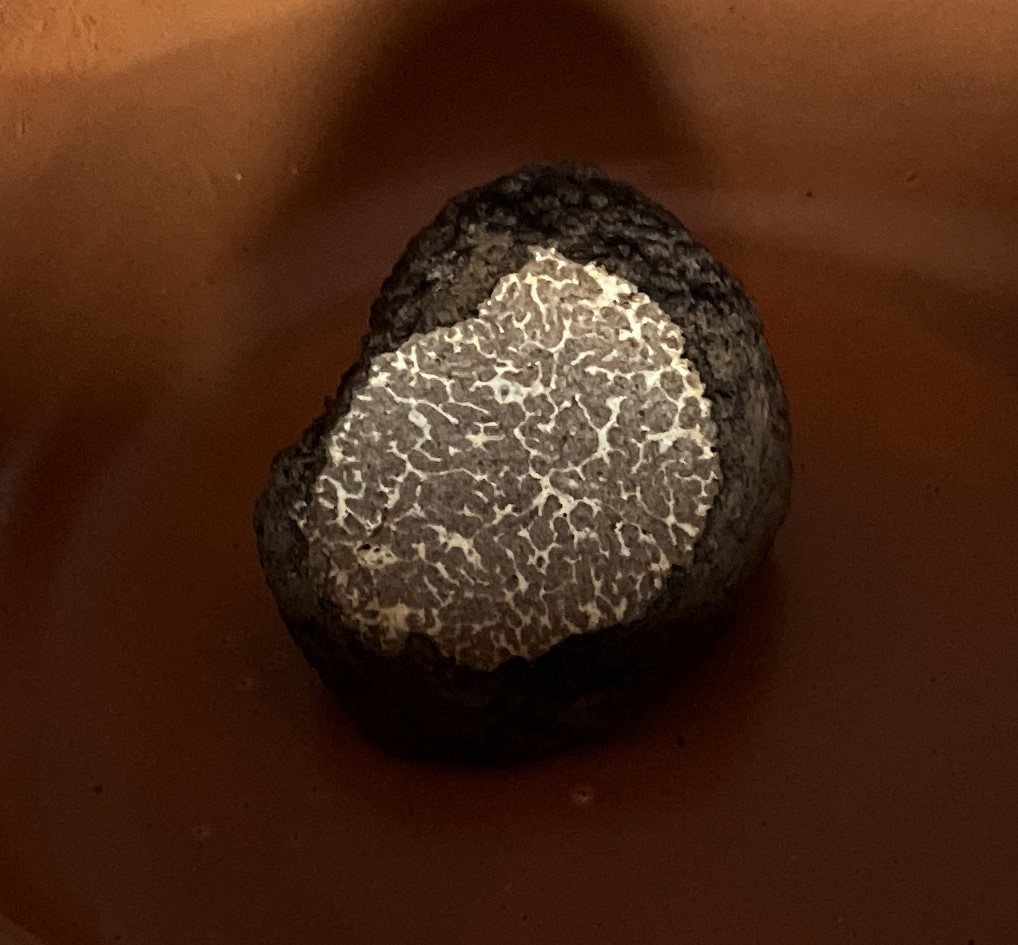 La polpa del tartufo nero di Bagnoli